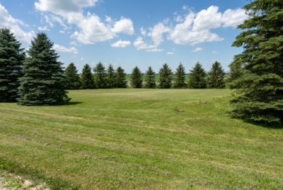 Welcome to your own private slice of southern Minnesota - Ranch Home, Steel Building & 3-Acre Parcel