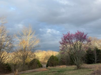 3/2 Home with 6.7 Acres