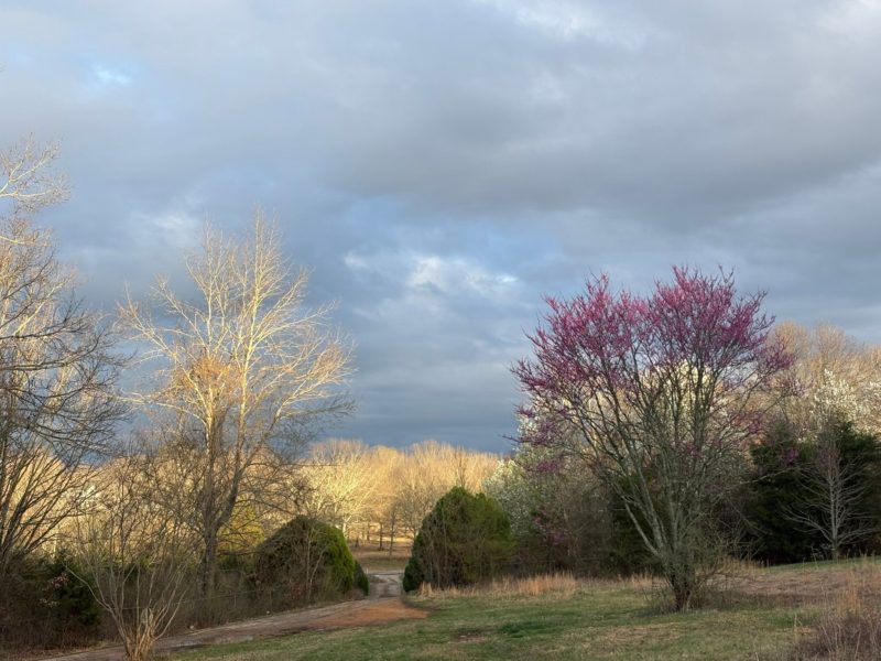 3/2 Home with 6.7 Acres