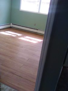 1 bedroom apartment for rent